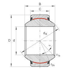 المحامل GE120-FW-2RS INA