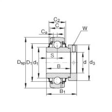 المحامل G1100-KRR-B-AS2/V INA