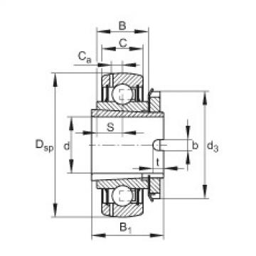 FAG شعاعي إدراج الكرات - GSH40-XL-2RSR-B