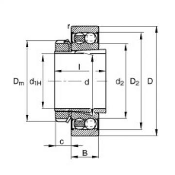 2210-K-2RS-TVH-C3 + H310 FAG تحمل