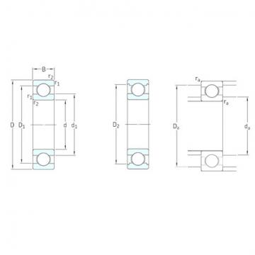 المحامل D/W R2-6 SKF