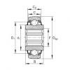 FAG Self-aligning deep groove ball bearings - SK100-206-KRR-B-AH11 #1 small image