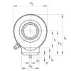 FAG Hydraulic rod ends - GK45-DO