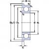 المحامل D/W R1-4 R SKF #1 small image