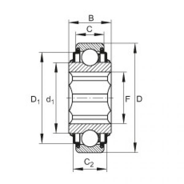 FAG Self-aligning deep groove ball bearings - SK100-206-KRR-AH11 #1 image
