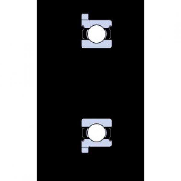 المحامل D/W RW1 R-2Z SKF #1 image