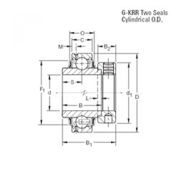 المحامل G1015KRR Timken #1 image