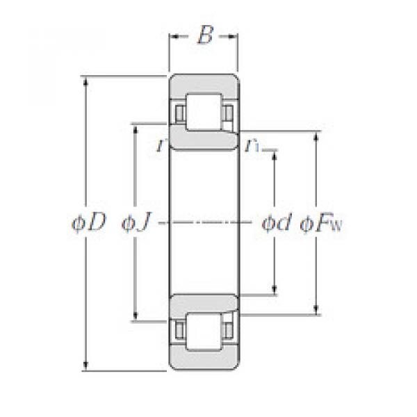 المحامل NJ307E CYSD #1 image