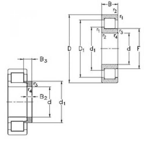 المحامل NJ252-E-MPA+HJ252-E NKE #1 image