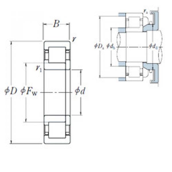 المحامل NUP1056 NSK #1 image