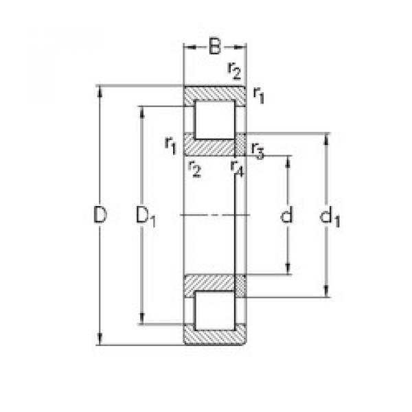 المحامل NUP217-E-MPA NKE #1 image